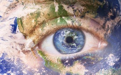 Polsprung und Vogelsterben –